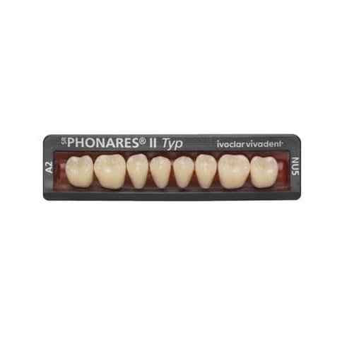 Dinti Phonares Nhc Typ Posterior Nl3 A2 Ivoclar