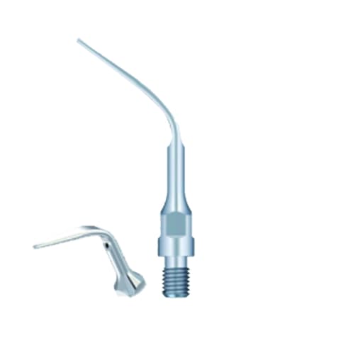 Ansa detartraj woopecker GS3