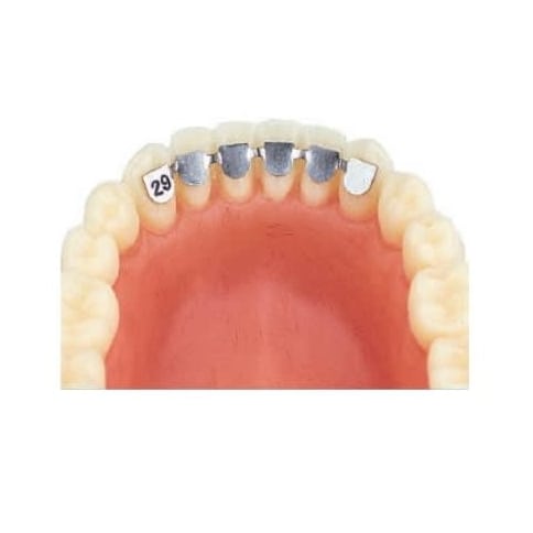 Retainer inferior de la canin la canin kit asortat 10 bucati Leone