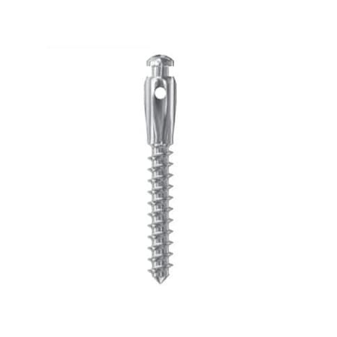 MINI ORTHO IMPLANT W/GR HIGH D2 L8mm