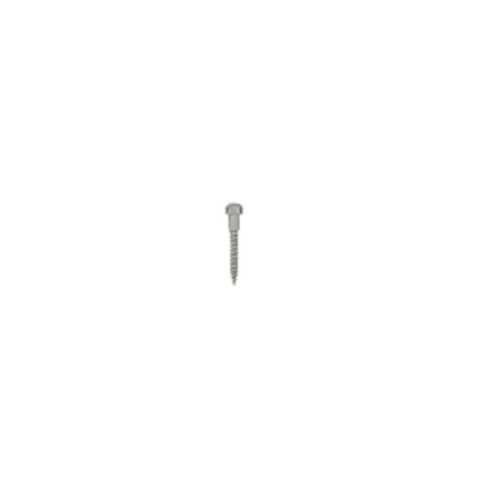Mini-implant palatinal expander L10mm GH2.5mm 2 bucati Leone