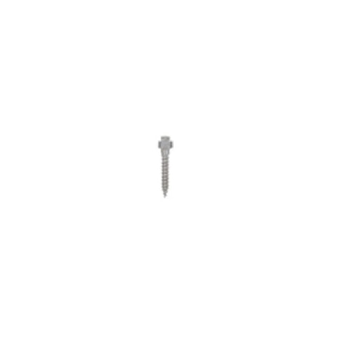 Mini-implant palatinal expander L11mm GH 2mm 1bucata Leone