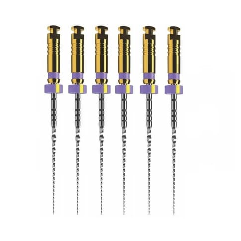 ProTaper Ultimate Slider 25mm 6 ace mov Dentsply