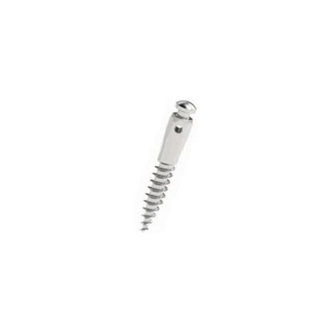 Mini-implant cu canelura D2 L8 Cap Scurt Leone