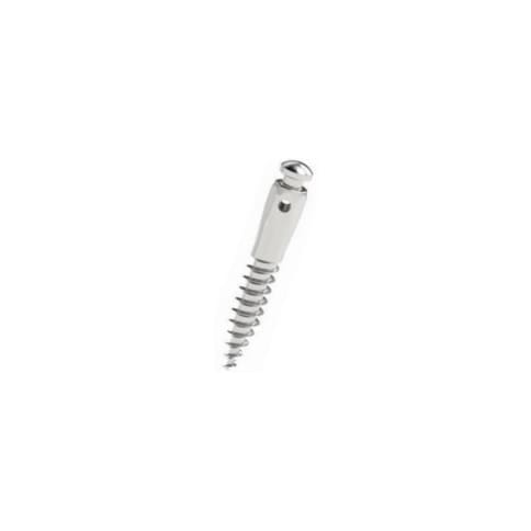 Mini-implant cu canelura D2 L8 Cap Inalt Leone