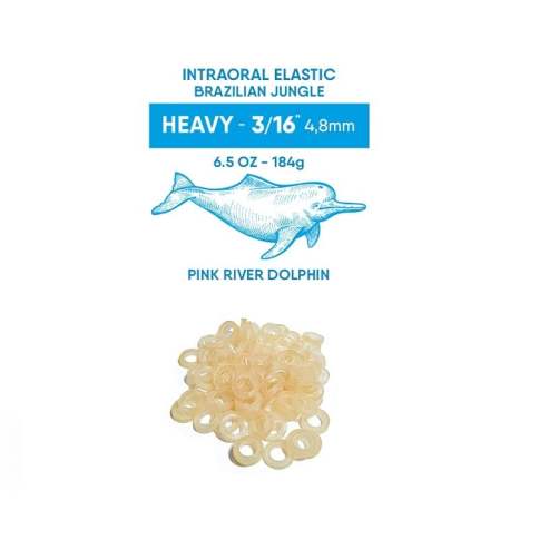 Intraorale Latex Ringe 3.000 Stück stark, 6,4 mm | Ligaturringe Intraorale Latex Ringe 3.000 Stück stark, 6,4 mm | Ligaturringe