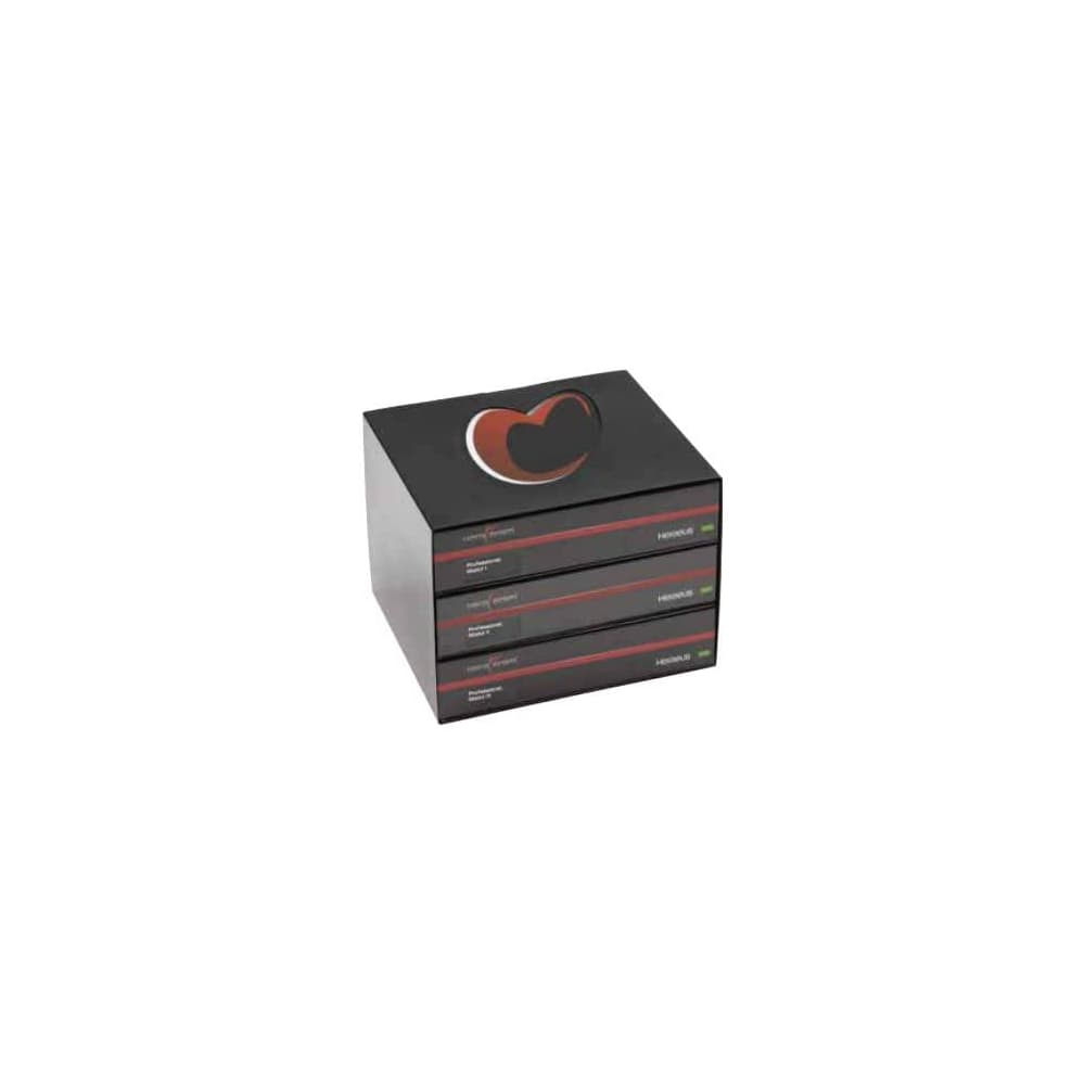 HeraCeram Professional Set Heraeus Kulzer