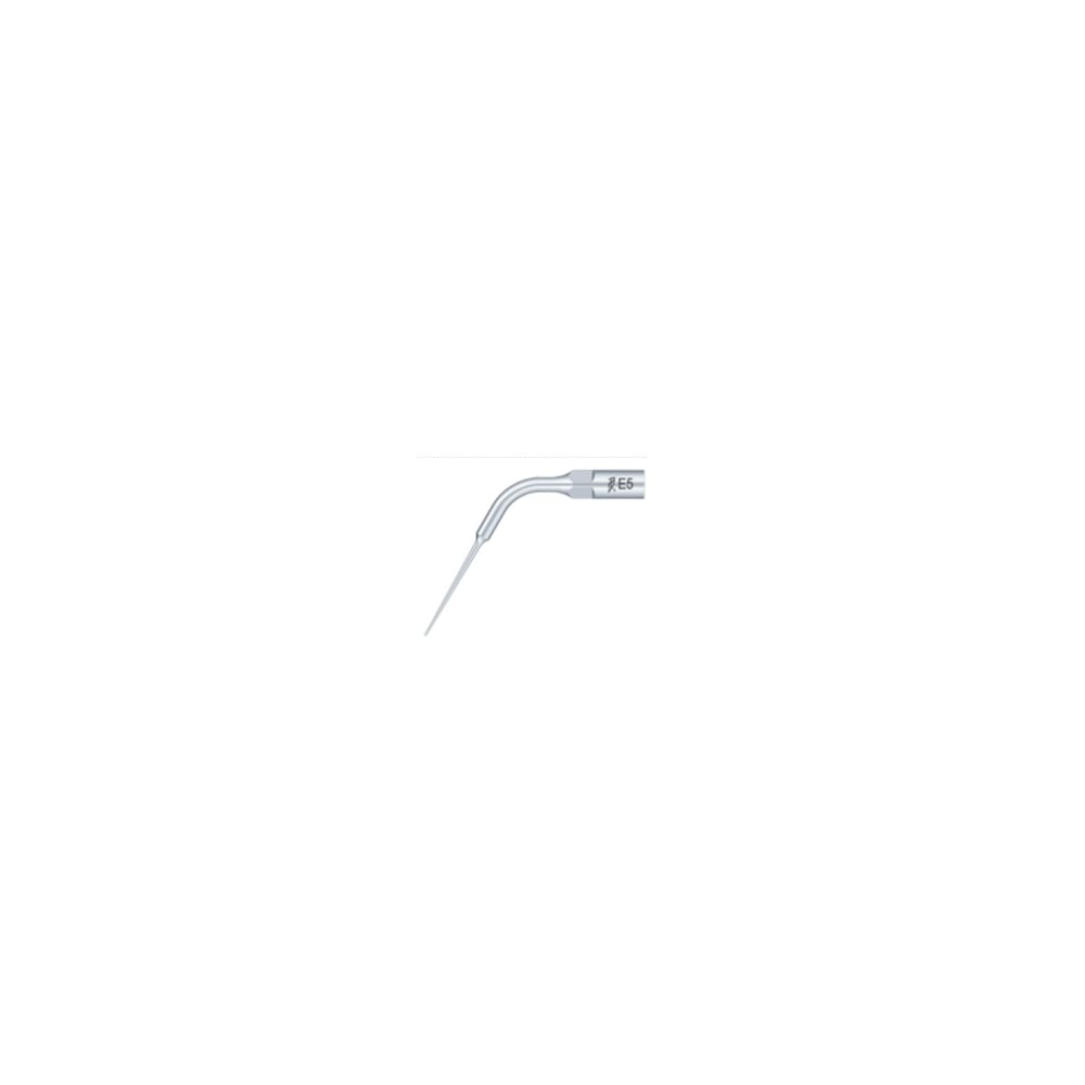 Ansa detartraj Woodpecker endo E5