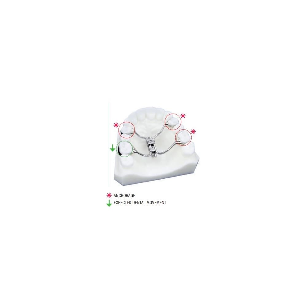 Surub multifunctional Veltri cu 4 brate stanga Leone