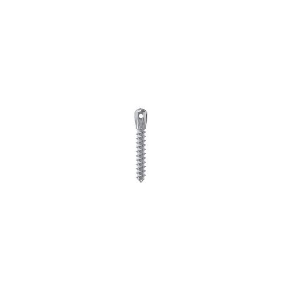 MINI IMPLANT SELFTAPP D 2 L8 LOW HEAD LEONE