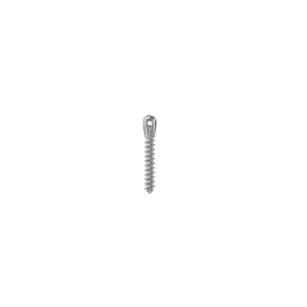 MINI IMPLANT SELFTAPP D 2 L10 LOW HEAD LEONE