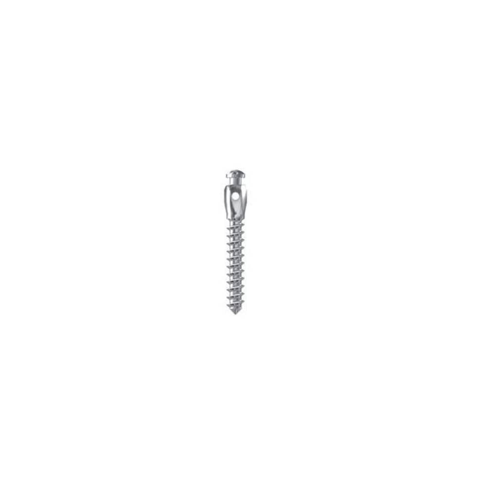 IMPLANT MINI D2 L8 