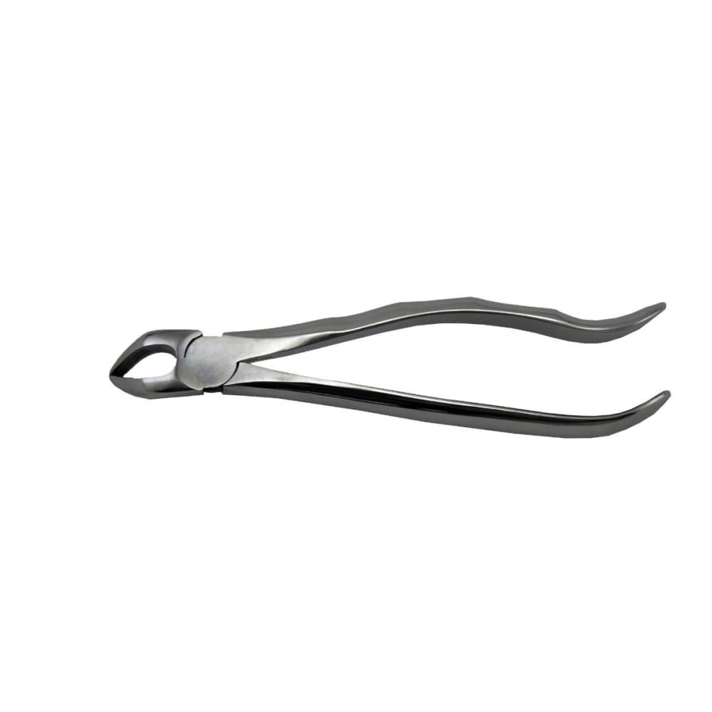 Cleste Extractie Radacini Inferioare 31 Prima